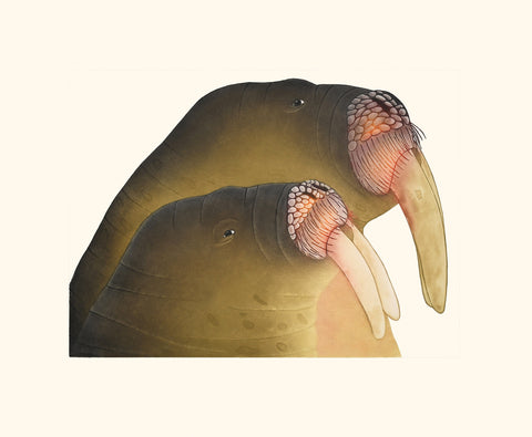 LAST COPY - 2025 PRINT Dorset Collection by PAUOJOUNGIE SAGGIAK *Mother with Calf*