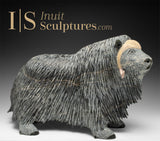 14" SIGNATURE Muskox by Lucassie Ikkidluak *Full of Heart*