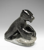 PROFESSIONAL RESTORATIONS and  REPAIRS