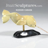11” Narwhal by Toonoo Sharky *Excalibur's Brother, Reg*