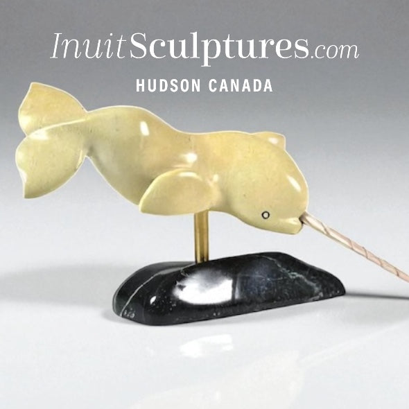 11” Narwhal by Toonoo Sharky *Excalibur's Brother, Reg*