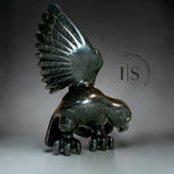 CURATOR'S CHOICE 17” SIGNATURE Hawk by Toonoo Sharky *Your Majesty*