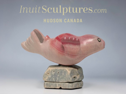 6" Seal by Toonoo Sharky *Chin Up*