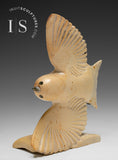 5"  Bird in Flight by Kelly Etidloie *Living On the Knife Edge*