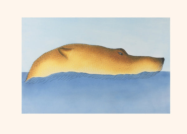 2023 PRINT by QUVIANAQTUK PUDLAT *Observant Bear 20*