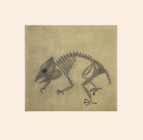 2023 DORSET SPRING PRINTS by PADLOO SAMAYUALIE *Ancient Fossil 2017*