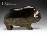CURATOR'S CHOICE VINTAGE 9" Muskox by Seepee Ipeeli *Chocolate Dream*
