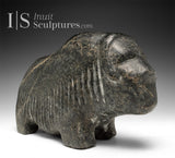 VINTAGE 10" Muskox by Barnabus Arnasungaaq *Headstrong*