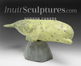 10" Beluga Whale by Ooloopie Killiktee *Whistle*