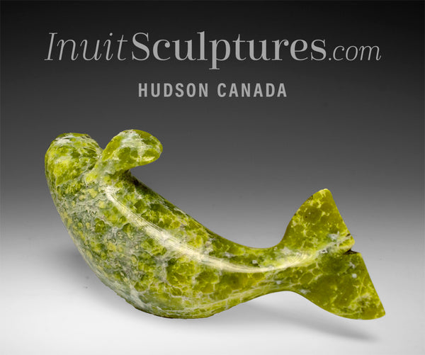 5" Beluga Whale by Pits Qimirpik *F1*