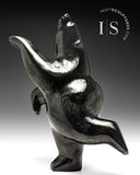 14" SIGNATURE Dancing Bear by Johnny Manning *Noir*