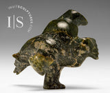 4" 2 Way Diving Bear by Isaaci Shaa *Head Strong*