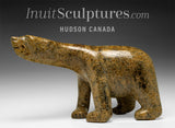17" Walking Bear by Adamie Quamagiaq *King*