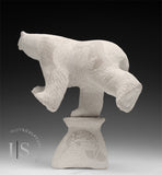 CURATOR'S CHOICE 10" 4 Way Diving Bear by Esau Kripanik *Under the Big Top*
