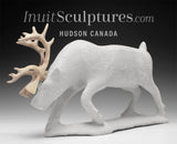 13" SIGNATURE  Caribou by Esau Kripanik *Forging Ahead*