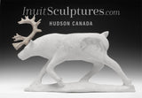 12" SIGNATURE  Caribou by Esau Kripanik *Downward Caribou*