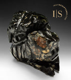 12" Transformtion by Clayton Keknek Gjoa Haven *Earth Man*