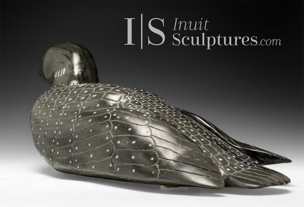 CURATOR'S CHOICE 23" SIGNATURE Red Eye Loon by Jimmy Iqaluq *Pin Feathers*