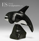 6” SIGNATURE Orca by Johnnysa Mathewsie *Top Gun*