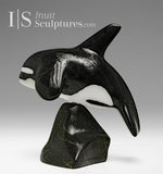 6” SIGNATURE Orca by Johnnysa Mathewsie *Top Gun*