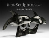 13” SIGNATURE Orcas by Johnnysa Mathewsie *Partners*
