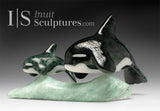8” SIGNATURE Orcas by Johnnysa Mathewsie *In Cahoots*