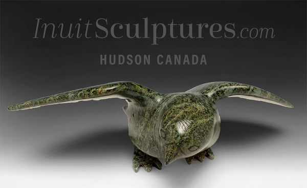 11" SIGNATURE Hawk by Killiktee Killiktee *Green Hawk Down*