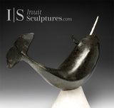 14" Museum Calibre Narwhal by Paul Malliki *Pure Power*