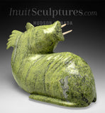 16" Basking Walrus by Noah Jaw *Orion*