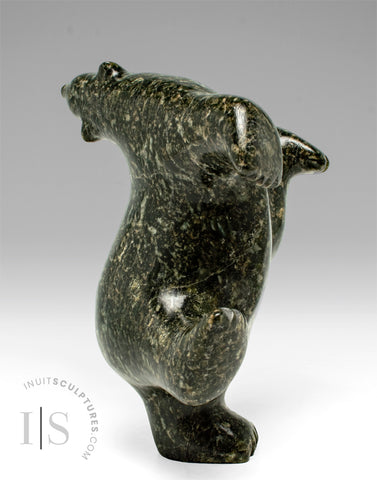 4" Dancing Bear by Noah Parr *Tango*