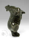 7" Dancing Bear by Noah Parr *More Tango*