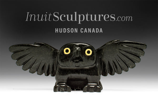 10" Owl by Toonoo Sharky *Hurrah!!*