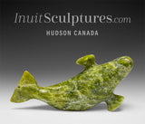 5" Beluga Whale by Pits Qimirpik *F1*