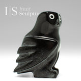 4" SIGNATURE Owl by Sam Qiatsuk *Little Sam #2*