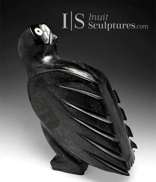 14" SIGNATURE Owl by Sam Qiatsuk *Just Look Over Your Shoulder Baby*
