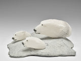 7" Swimming Polar Bears by Mazdak Darehshoripour *Cubs and Dad*