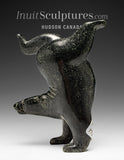 6” SIGNATURE Diving Bear by Tim Pee *Magic Mike*
