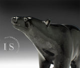 8.5" Walking Bear by Tim Pee *A Study in Calm*