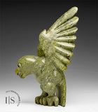 8" Hawk by Toonoo Sharky *In Prayer*