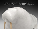 VINTAGE 13" Basking Walrus by Jimmy Kopak *Sagacious*