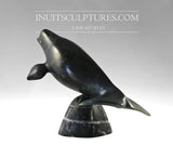 9" Beluga by Louie Uttaq Gjoa Haven *Queenie*