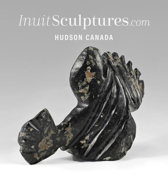 7" Fish Transformation by Clayton Keknek  *Perky*