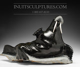 H&R 22" Walrus by World Famous Jaco Ishulutak