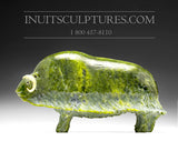 12" Apple Green Muskox by Joamie Aipeelee