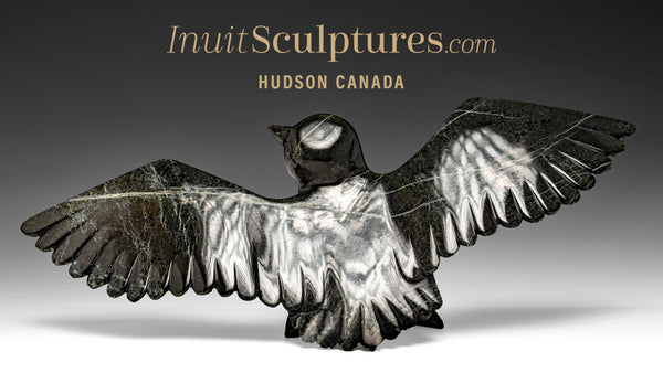 16" Hawk  Killiktee Killiktee