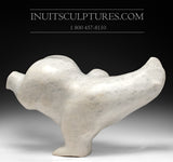 20" Rare White Diving Bear by Nuna Parr