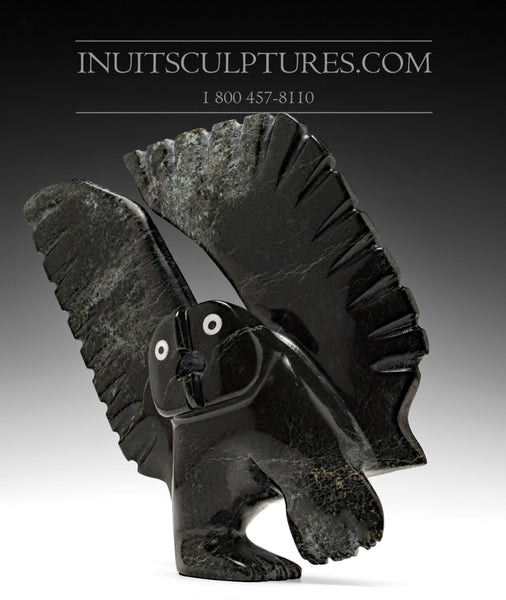10" Owl with Inlayed Eyes by Palaya Qiatsuq