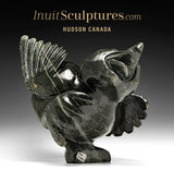 14"  SIGNATURE Dancing Bird by Toonoo Sharky *Glee*