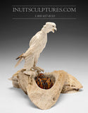 8" Hawk by Damien Iquallaq *A Love That Will Not Fail*