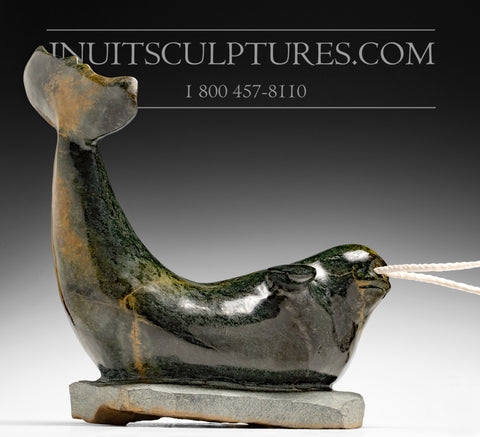 20" Double tusk Narwhal by Master Ishulutaq